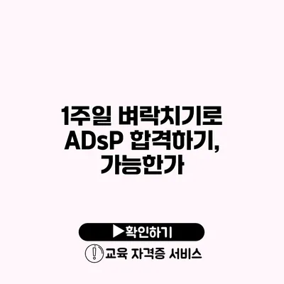 1주일 벼락치기로 ADsP 합격하기, 가능한가?