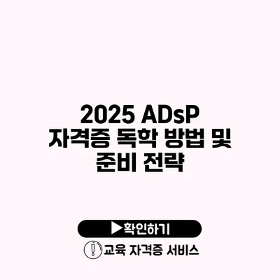 2025 ADsP 자격증 독학 방법 및 준비 전략