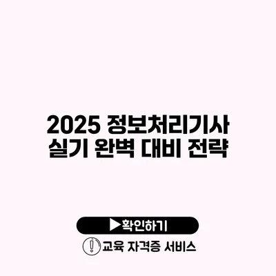 2025 정보처리기사 실기 완벽 대비 전략