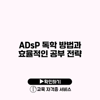 ADsP 독학 방법과 효율적인 공부 전략