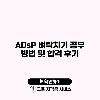 ADsP 벼락치기 공부 방법 및 합격 후기