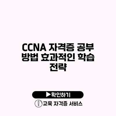 CCNA 자격증 공부 방법 효과적인 학습 전략