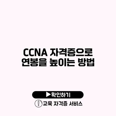 CCNA 자격증으로 연봉을 높이는 방법