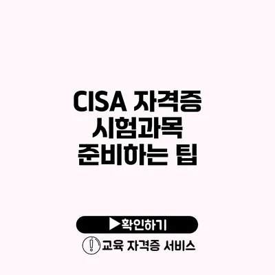 CISA 자격증 시험과목 준비하는 팁