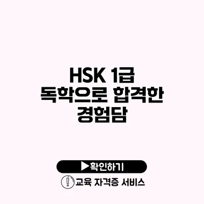 HSK 1급 독학으로 합격한 경험담