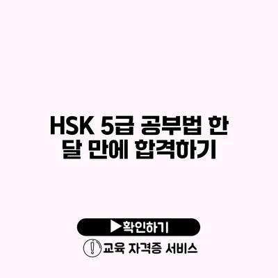 HSK 5급 공부법 한 달 만에 합격하기