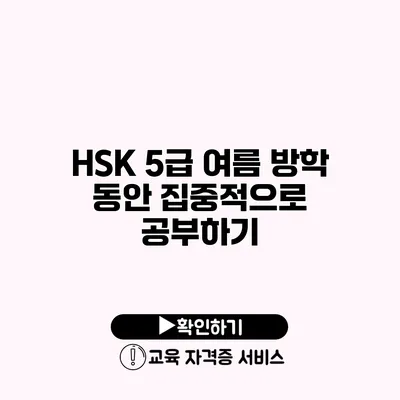 HSK 5급 여름 방학 동안 집중적으로 공부하기