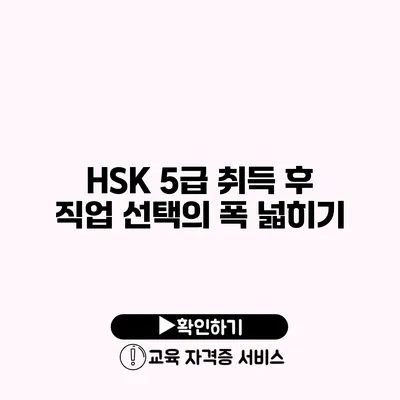 HSK 5급 취득 후 직업 선택의 폭 넓히기