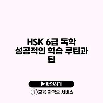 HSK 6급 독학 성공적인 학습 루틴과 팁