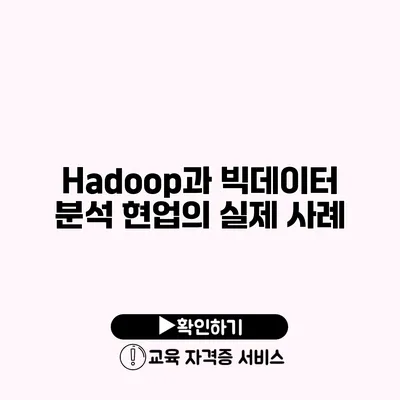 Hadoop과 빅데이터 분석 현업의 실제 사례