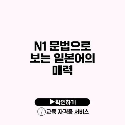 N1 문법으로 보는 일본어의 매력