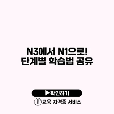 N3에서 N1으로! 단계별 학습법 공유