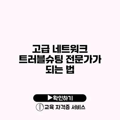 고급 네트워크 트러블슈팅 전문가가 되는 법