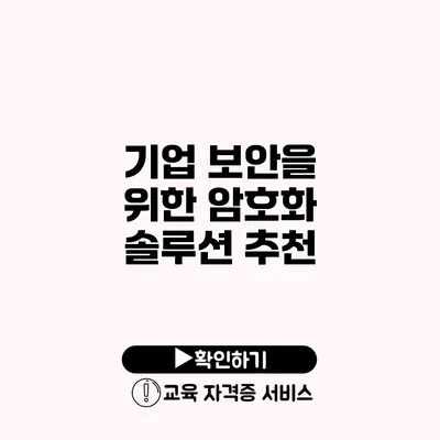 기업 보안을 위한 암호화 솔루션 추천