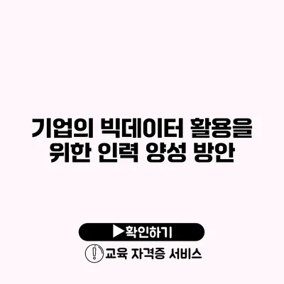 기업의 빅데이터 활용을 위한 인력 양성 방안