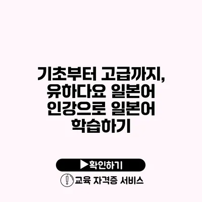 기초부터 고급까지, 유하다요 일본어 인강으로 일본어 학습하기