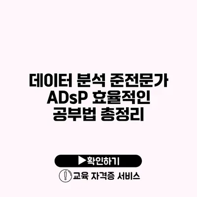 데이터 분석 준전문가 ADsP 효율적인 공부법 총정리