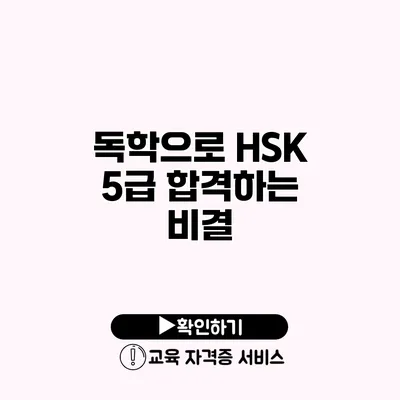 독학으로 HSK 5급 합격하는 비결