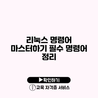 리눅스 명령어 마스터하기 필수 명령어 정리