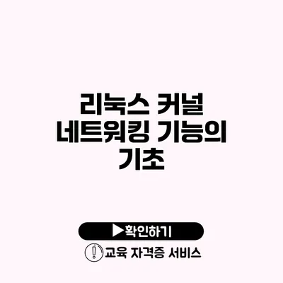 리눅스 커널 네트워킹 기능의 기초