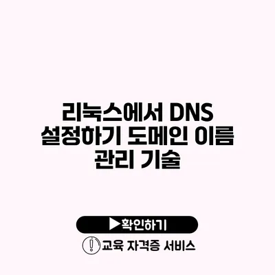 리눅스에서 DNS 설정하기 도메인 이름 관리 기술