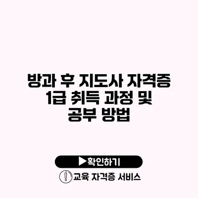 방과 후 지도사 자격증 1급 취득 과정 및 공부 방법