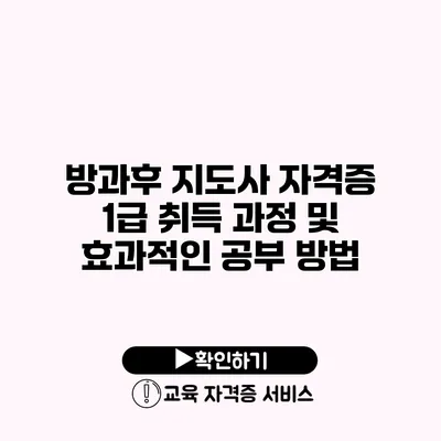 방과후 지도사 자격증 1급 취득 과정 및 효과적인 공부 방법