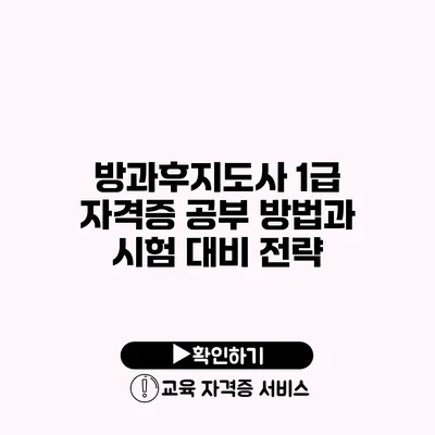 방과후지도사 1급 자격증 공부 방법과 시험 대비 전략