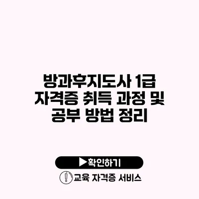 방과후지도사 1급 자격증 취득 과정 및 공부 방법 정리