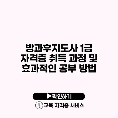 방과후지도사 1급 자격증 취득 과정 및 효과적인 공부 방법