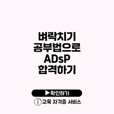 벼락치기 공부법으로 ADsP 합격하기