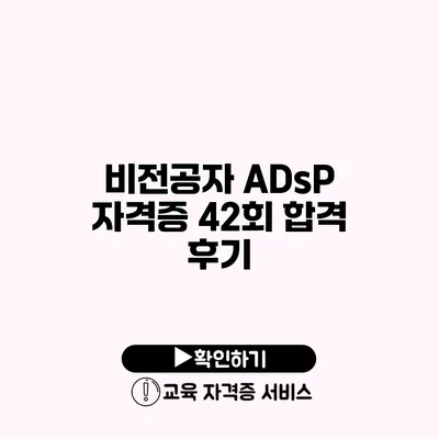 비전공자 ADsP 자격증 42회 합격 후기