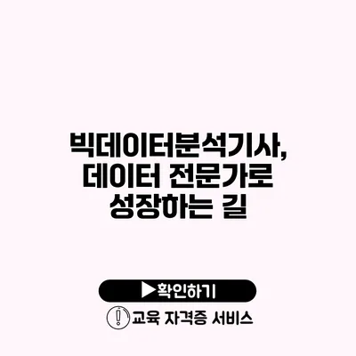 빅데이터분석기사, 데이터 전문가로 성장하는 길