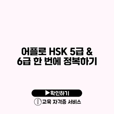 어플로 HSK 5급 & 6급 한 번에 정복하기