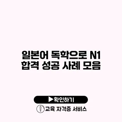 일본어 독학으로 N1 합격 성공 사례 모음