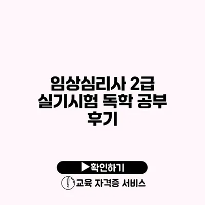 임상심리사 2급 실기시험 독학 공부 후기