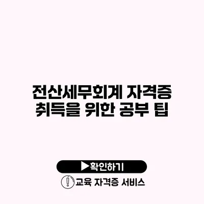 전산세무회계 자격증 취득을 위한 공부 팁