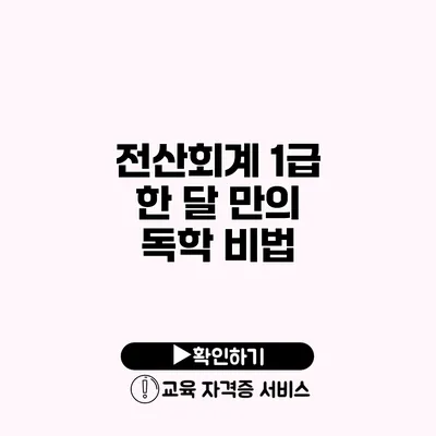 전산회계 1급 한 달 만의 독학 비법