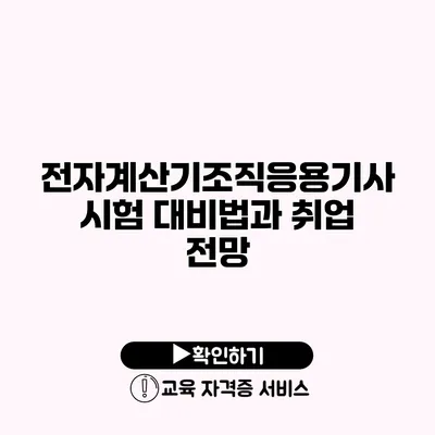 전자계산기조직응용기사 시험 대비법과 취업 전망