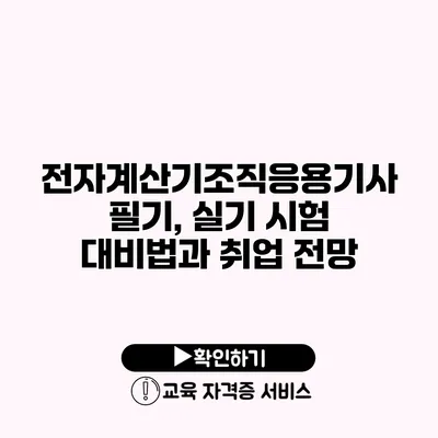 전자계산기조직응용기사 필기, 실기 시험 대비법과 취업 전망