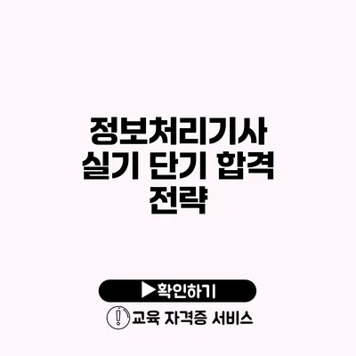 정보처리기사 실기 단기 합격 전략