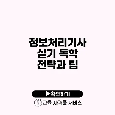 정보처리기사 실기 독학 전략과 팁