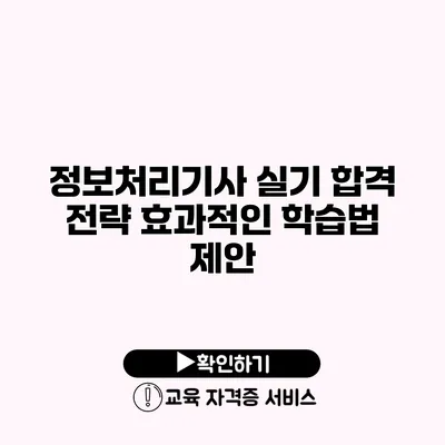 정보처리기사 실기 합격 전략 효과적인 학습법 제안