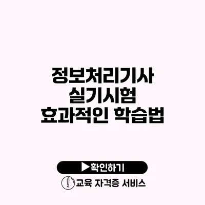 정보처리기사 실기시험 효과적인 학습법