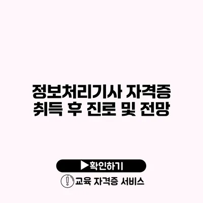 정보처리기사 자격증 취득 후 진로 및 전망