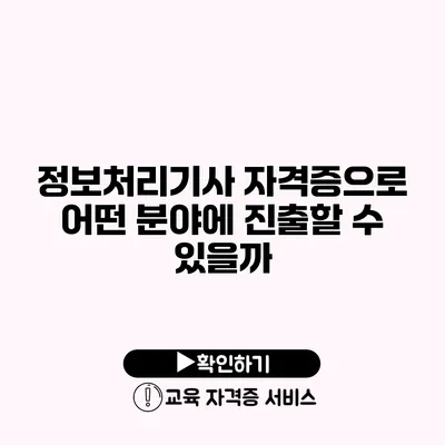 정보처리기사 자격증으로 어떤 분야에 진출할 수 있을까?