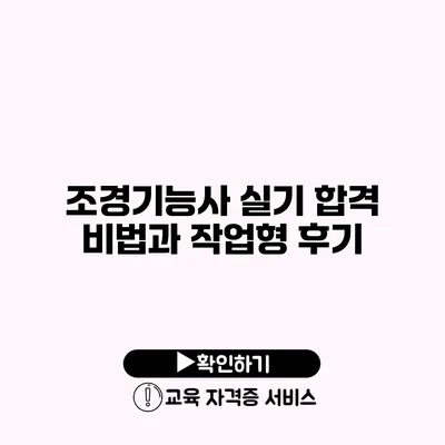 조경기능사 실기 합격 비법과 작업형 후기