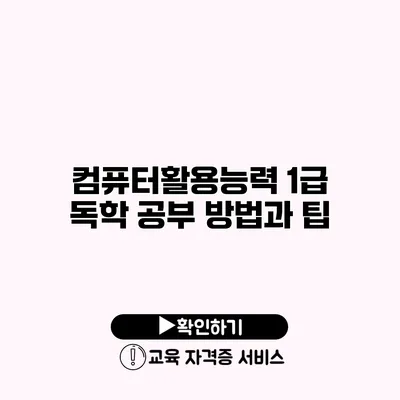 컴퓨터활용능력 1급 독학 공부 방법과 팁