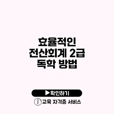 효율적인 전산회계 2급 독학 방법